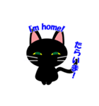 紀州の黒猫くろにゃん（個別スタンプ：4）