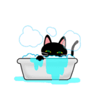 紀州の黒猫くろにゃん（個別スタンプ：31）