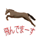 馬 Horses 馬大好き（個別スタンプ：20）