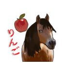 馬 Horses 馬大好き（個別スタンプ：23）