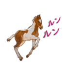 馬 Horses 馬大好き（個別スタンプ：32）