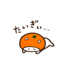 愛媛にゃんこ（個別スタンプ：11）