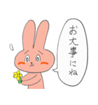 うさぎどん（個別スタンプ：24）