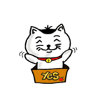 ニャン子とダンボール箱（個別スタンプ：2）