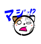 みけねこのみけ（個別スタンプ：24）