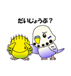 インコのぴー（個別スタンプ：2）