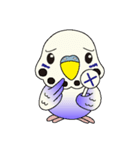 インコのぴー（個別スタンプ：7）