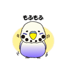 インコのぴー（個別スタンプ：24）