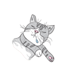Chi ＆ Polkadot cat（個別スタンプ：8）