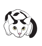 Chi ＆ Polkadot cat（個別スタンプ：14）