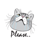 Chi ＆ Polkadot cat（個別スタンプ：17）