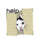 Chi ＆ Polkadot cat（個別スタンプ：18）
