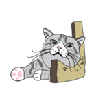 Chi ＆ Polkadot cat（個別スタンプ：19）