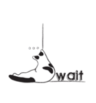 Chi ＆ Polkadot cat（個別スタンプ：20）