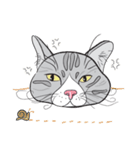 Chi ＆ Polkadot cat（個別スタンプ：22）