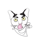 Chi ＆ Polkadot cat（個別スタンプ：23）