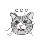 Chi ＆ Polkadot cat（個別スタンプ：26）
