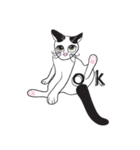 Chi ＆ Polkadot cat（個別スタンプ：34）