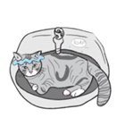 Chi ＆ Polkadot cat（個別スタンプ：37）