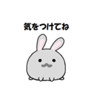 うさぎ的なやつ（個別スタンプ：11）