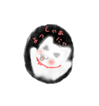 2匹のにゃんこの日常（改）（個別スタンプ：13）