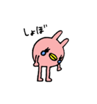 あしながウサギ（個別スタンプ：23）