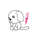 マルチーズの麻瑠(マル)ちゃん（個別スタンプ：6）