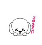マルチーズの麻瑠(マル)ちゃん（個別スタンプ：12）