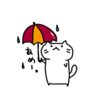 しろねこもちこ（個別スタンプ：11）