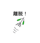 珍パンジー2号 (関西（個別スタンプ：11）