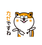 ザ・ゆるねこ（個別スタンプ：40）