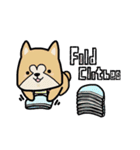 (B.B.B) ss1 シバマルの留守番物語（個別スタンプ：17）