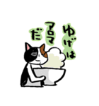めんネコ（個別スタンプ：4）