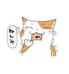 庄内弁にゃんこスタンプ（個別スタンプ：23）