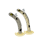 チンアナゴーズ（個別スタンプ：7）