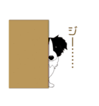 ボーダーコリーのいちご（個別スタンプ：39）