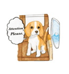 ビーグル犬の台湾さんぽ（個別スタンプ：5）