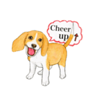 ビーグル犬の台湾さんぽ（個別スタンプ：34）