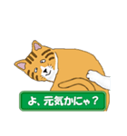 ひょうきんなトラ猫（個別スタンプ：36）