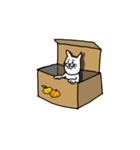 ねこ時々ひよこ（個別スタンプ：20）