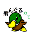 ごめんカモ（個別スタンプ：11）