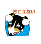 BOWWOW CORGIS！（個別スタンプ：39）