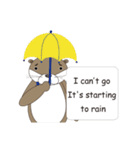 ウソつきかわうそ 英語版（個別スタンプ：13）