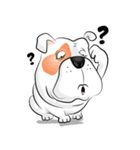 Ceza Bulldog ＆ The Gang（個別スタンプ：31）