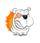 Ceza Bulldog ＆ The Gang（個別スタンプ：35）