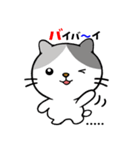 うちニャン 3（個別スタンプ：19）