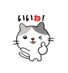 うちニャン 3（個別スタンプ：20）