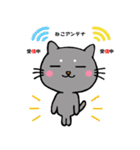 うちニャン 3（個別スタンプ：29）