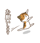 踊る敬語ネコ（個別スタンプ：15）