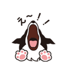 ディスク大好き！ボーダーズ（個別スタンプ：5）
